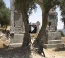 Tunis part 8 - Visit Roman ruins of Dougga