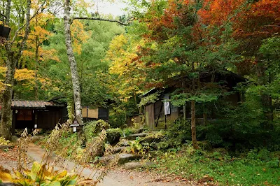 平湯民俗館奥の平湯の湯