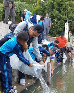 200 Ribu Ikan Patin Kembali Penuhi Cimanuk