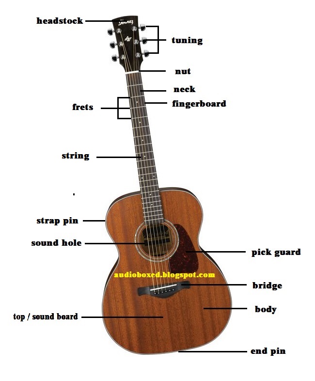 Image result for komponen gitar