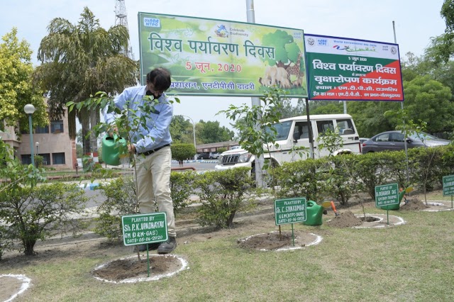 एनटीपीसी दादरी में विश्व पर्यावरण दिवस पर पौधरोपण किया गया।