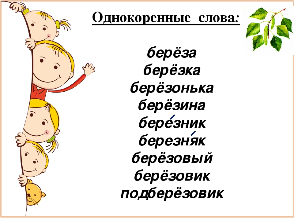 Березка однокоренные