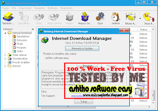 IDM Internet Download Manager 6.14 Terbaru