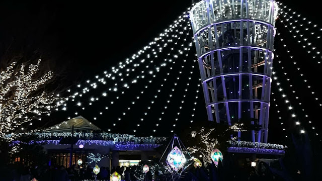 Pantai Enoshima adalah salah satu pantai yang paling banyak dikunjungi saat musim panas di Jepang.  Pantai ini berada di wilayah Enoshima, Kanagawa, Yokohama, Jepang.   Banyak orang jepang dari luar kota Kanagawa liburan sampai menginap di hotel dekat pantai hanya untuk menikmati suasana pantai yang tenang dan damai. Pantai Enoshima yang indah dengan pasirnya yang hitam mulus membuat orang betah berlama-lama disini.  Di sisi pantai ada banyak warung lesehan yang menyediakan makanan untuk menghilangkan rasa lapar dan minuman dengan berbagai macam olahan khas bartender pantai yang sangat populer dikalangan anak muda Jepang.  Bagi yang suka bermain selancar, perahu layang, banana boat dan sebagainya di Pantai Enoshima sudah menyediakan sewa dengan harga yang murah, Anda bisa bermain air sepuasnya disini.  Selain keindahan pantainya Enoshima juga memberikan nuansa kedamaian dengan menuju ke atas bukit yang sangat hijau dengan pepohonan dan toko-toko yang menjual berbagai macam aksesoris oleh-oleh saat menuju ke puncak.    Jika Anda mencapai puncak, Anda akan melihat keindahan Pantai Enoshima dari atas bukit. Pemandangan pantai akan lebih romantis saat malam hari, jika menikmatinya dari Tower Enoshima dengan lampu kelap-kelip.   Ada juga Aquarium, Selain keindahan pantainya, Enoshima juga memiliki Aquarium yang dipenuhi berbagai ikan hias dan atraksi lumba-lumba dan anjing laut yang mengesankan, yang wajib dicoba saat mengunjungi pantai Enoshima, Jepang.  Di pesisir pantai juga ada banyak restoran, toko-toko dan hotel  yang membuat liburan di Pantai Enoshima jadi lebih tenang dan fokus untuk menghabiskan waktu disini. 