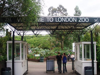 London Zoo - England