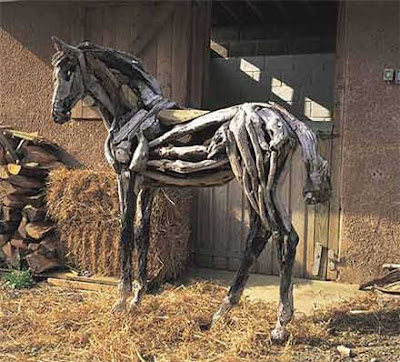 horse at the farm