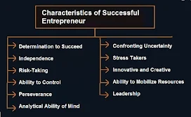 11 Characteristics of Successful Entrepreneur