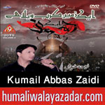 http://www.nohaypk.com/2015/10/kumail-abbas-zaidi-nohay-2016.html