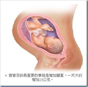 Week36