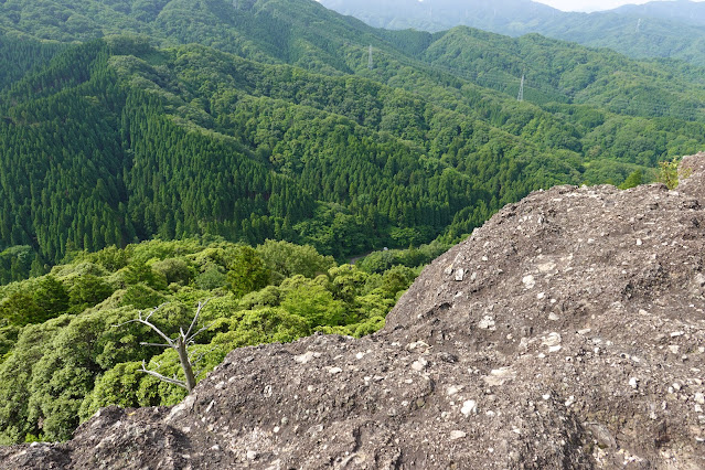 鳥取県西伯郡南部町八金 金華山登山道からの眺望