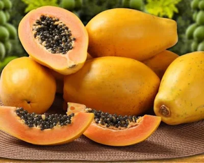 Thingfanghma (Carica papaya) thatna