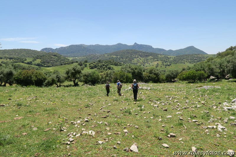 Benaocaz - Salto del Cabrero - Castillo de Aznalmara