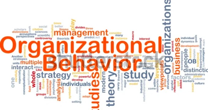 The Human Element: Unleashing the Potential of Organizational Behavior
