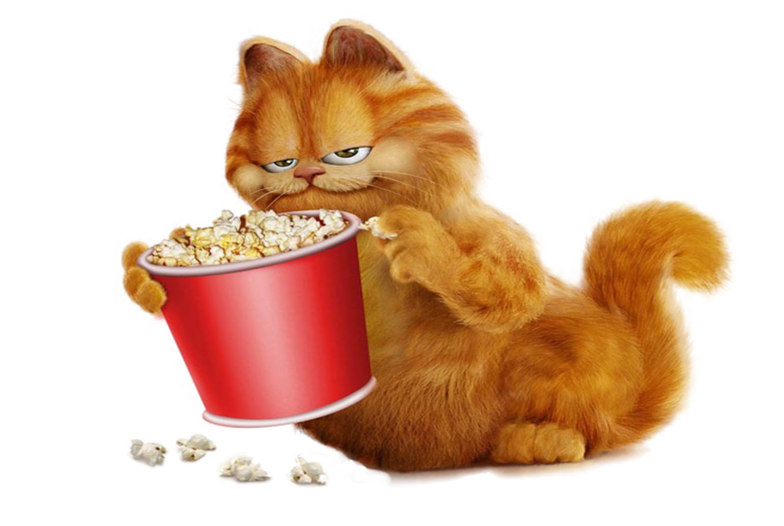 Wallpaper Lucu Gambar Kucing Garfield Terbaru 2016 Kata Kata