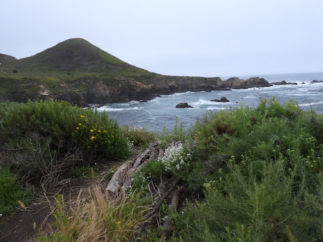 Day 13 - Pacific Coast Highway