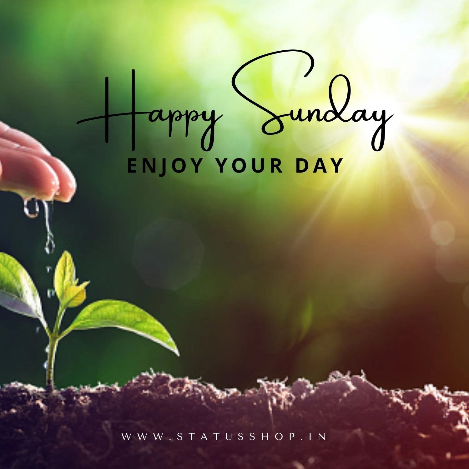 New-Happy-Sunday-Images