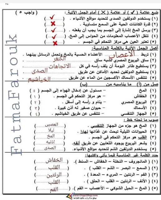 امتحان العلوم للصف الرابع الابتدائي