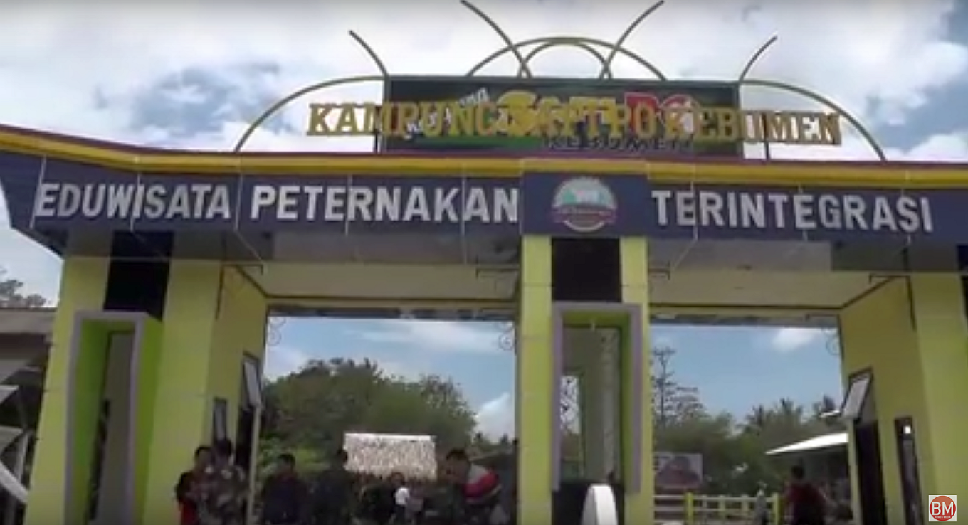 Kampung Sapi PO Kebumen Bertaraf Nasional Terintegrasi Eduwisata