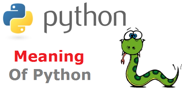 Python Meaning in hindi | Python Programming Language Meaning in Hindi - Python क्या है