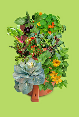 Grow 50 Different Plants on Your Porch with the GARDEN TOWER 2! {Urban gardening, homestead, organic gardening} Small vegetable garden. GARDEN TOWER 2 by Garden Tower Project, vertical gardening. vertical garden plans. vertical vegetable garden. vertical gardens kits. vertical gardening systems. indoor vertical garden. diy vertical garden wall. vertical vegetable garden diy. how to make a vertical garden frame. vertical vegetable garden images. garden tower diy. garden tower vertical container garden. garden tower 2 for sale. garden tower 2 review. garden tower project coupon code. indoor tower garden. garden tower amazon. garden towers apartments.