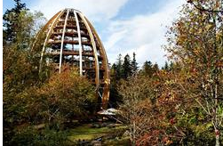 BAUMWİPFELPFAD SCHWARZWALD BAUMWİPFELPFAD SCHWARZWALD