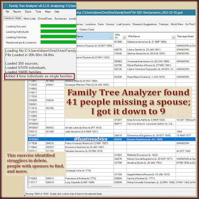 My GEDCOM Stats in FTAnalyzer had a strange line item telling me my family tree had some errors. Here's how you can find and fix them.