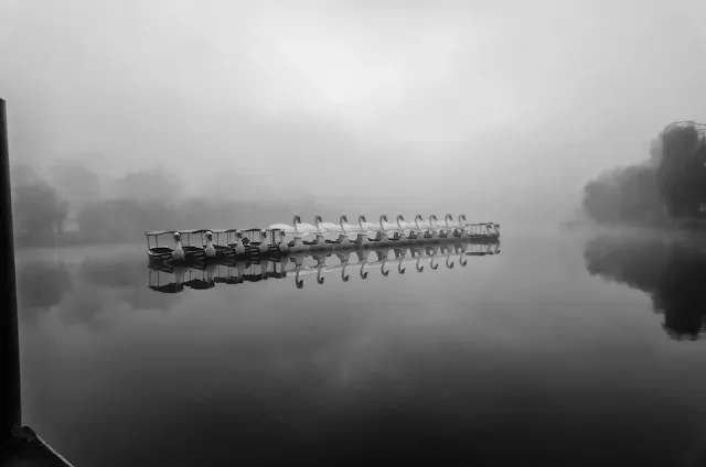 Swan Boats Foggy Burnham Lake Baguio City Cordillera Administrative Region Philippines