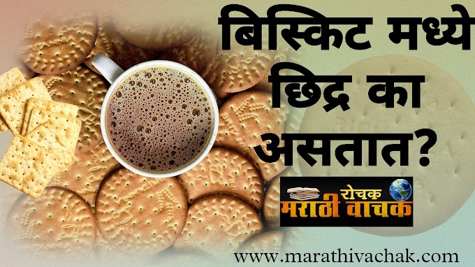 बिस्किट मध्ये छिद्र ( hole) का असतात? biscuit madhe holes ka astate? 