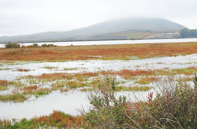 San Pablo Bay National Wildlife Refuge