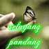 Selayang Pandang