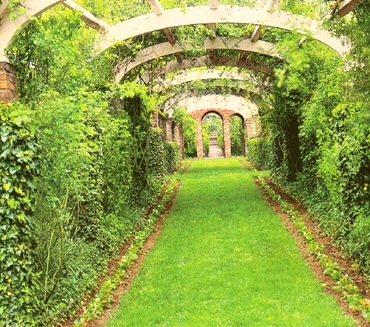 Garden Pathway