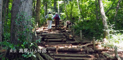 今日は暑い！高尾山へ行こう！（6号路に挑戦）