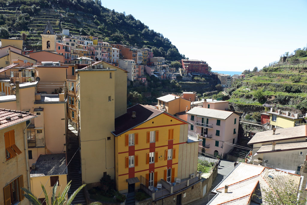 Viñedos de Manarola, Cinque Terre