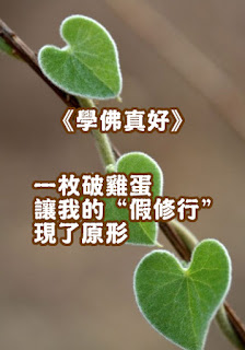 《學佛真好》一枚破雞蛋 讓我的“假修行”現了原形 　