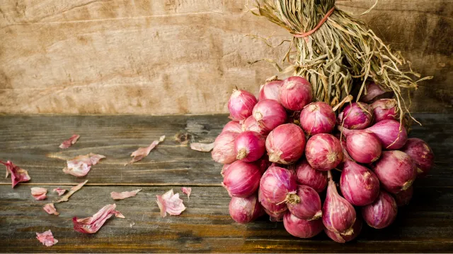 1 Pohon Bawang Merah Menghasilkan Berapa Kg