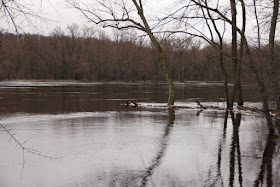 St Croix River bank full+