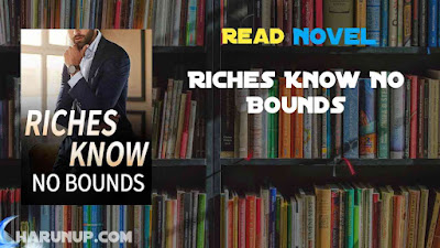 Read Riches Know No Bounds Novel Full Episode