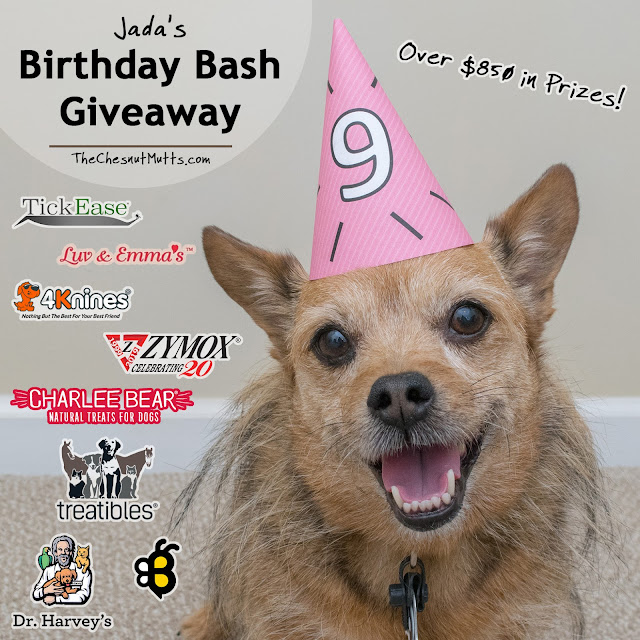 Jada's 9th Birthday Bash Giveaway - Over $850 in Prizes!