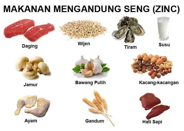 Makanan Yang Mengandung Zinc