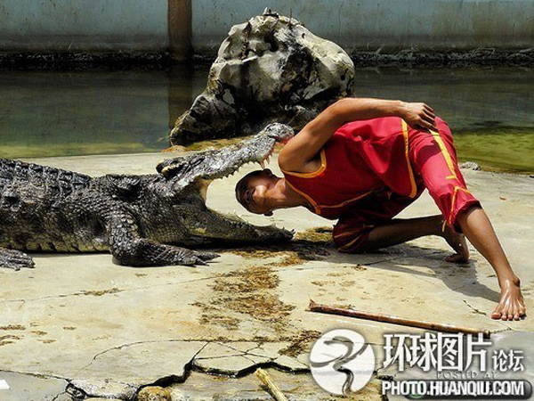 Craziest Job in The World | Crocodile Wrestler