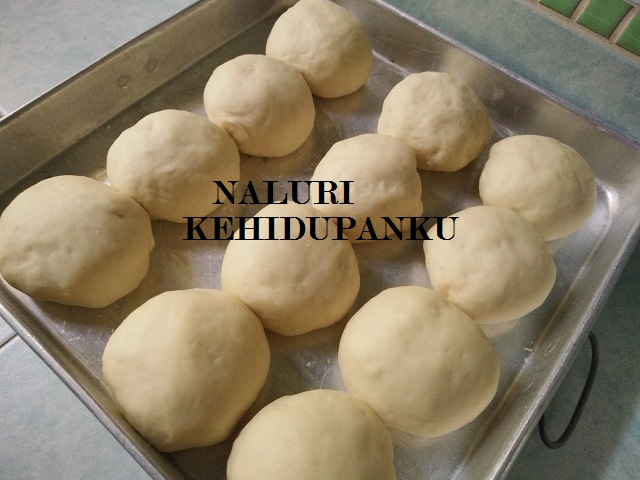 Naluri Kehidupanku: Resipi : Roti Arab