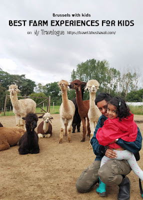 Kinderboerderij Ferme Pédagogique Brussels Belgium