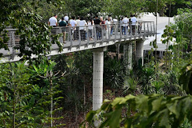 The elevated boardwalk