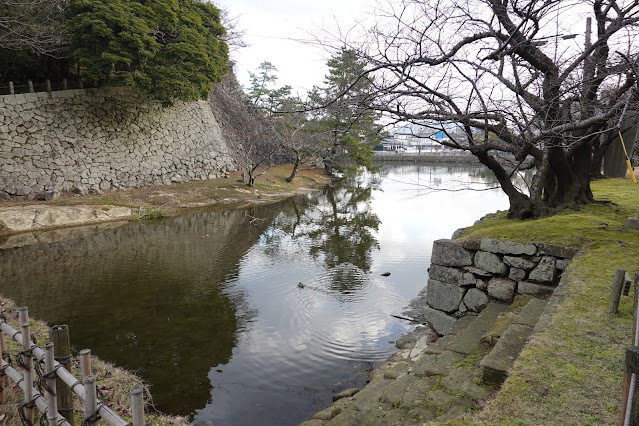 島根県松江市内中原町 松江城 堀の風景