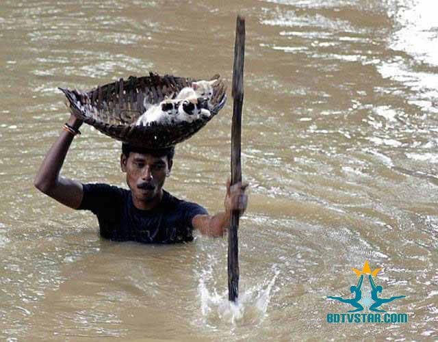 Man saving cat life