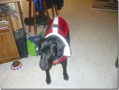 Rigg's12-19-10g