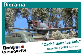 Les photos du diorama du Dewoitine D.520