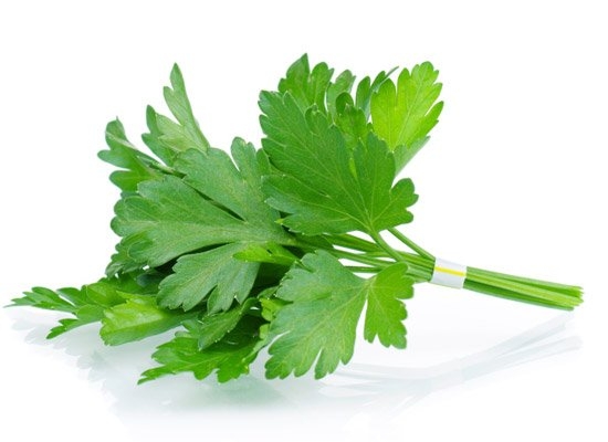 Something by tauhhid: Kenal Tak Mana Satu Parsley, Mana 