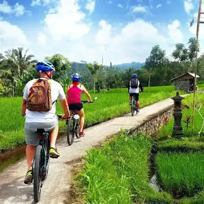Electric Cycle Tour Tegallalang By Greenbike Adventure, tempat wisata di Bali