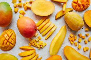 Mango Dehydrator